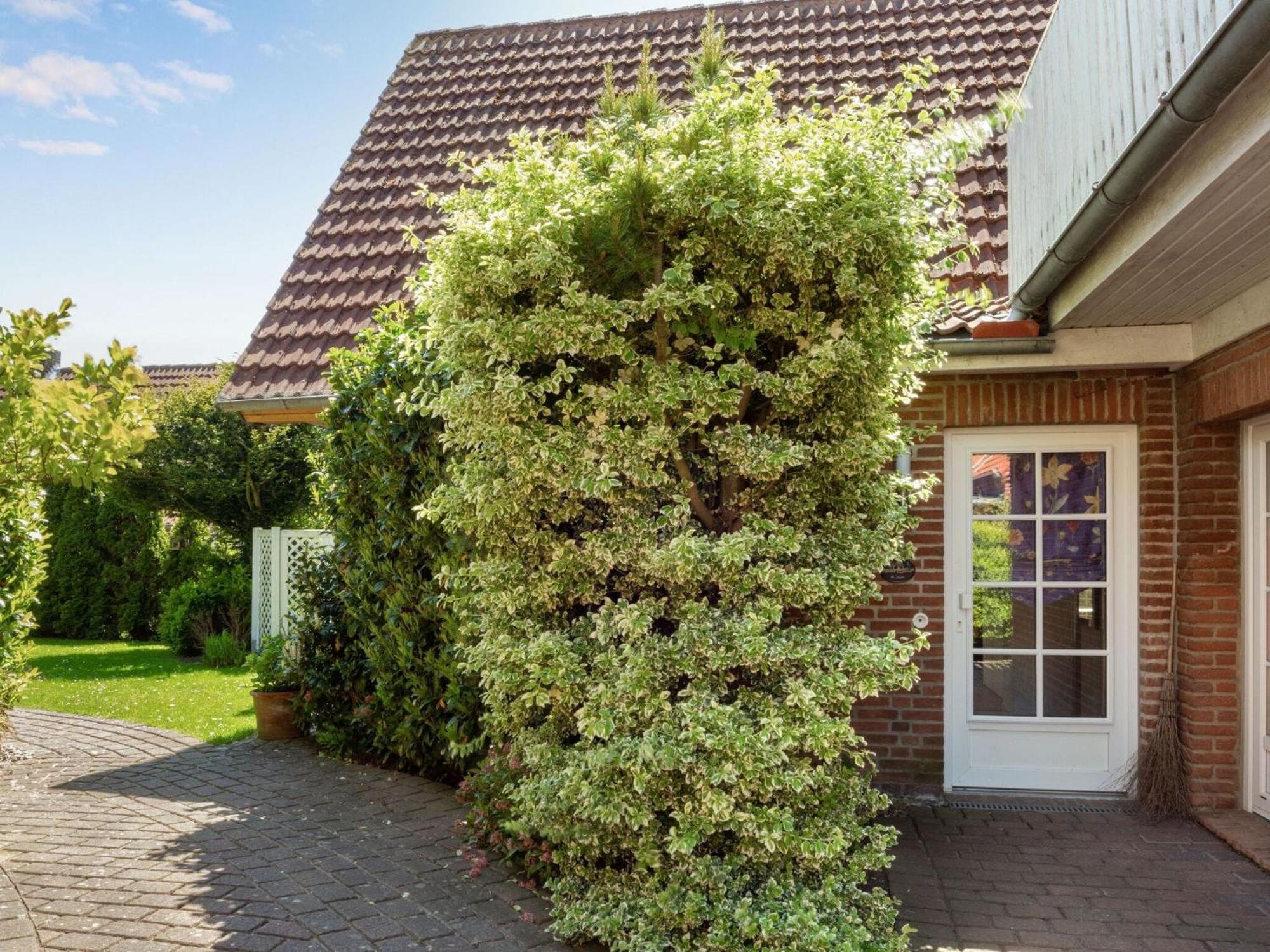 Enticing Holiday Home In Oldenburg With Garden Near Sea Dannau Bagian luar foto